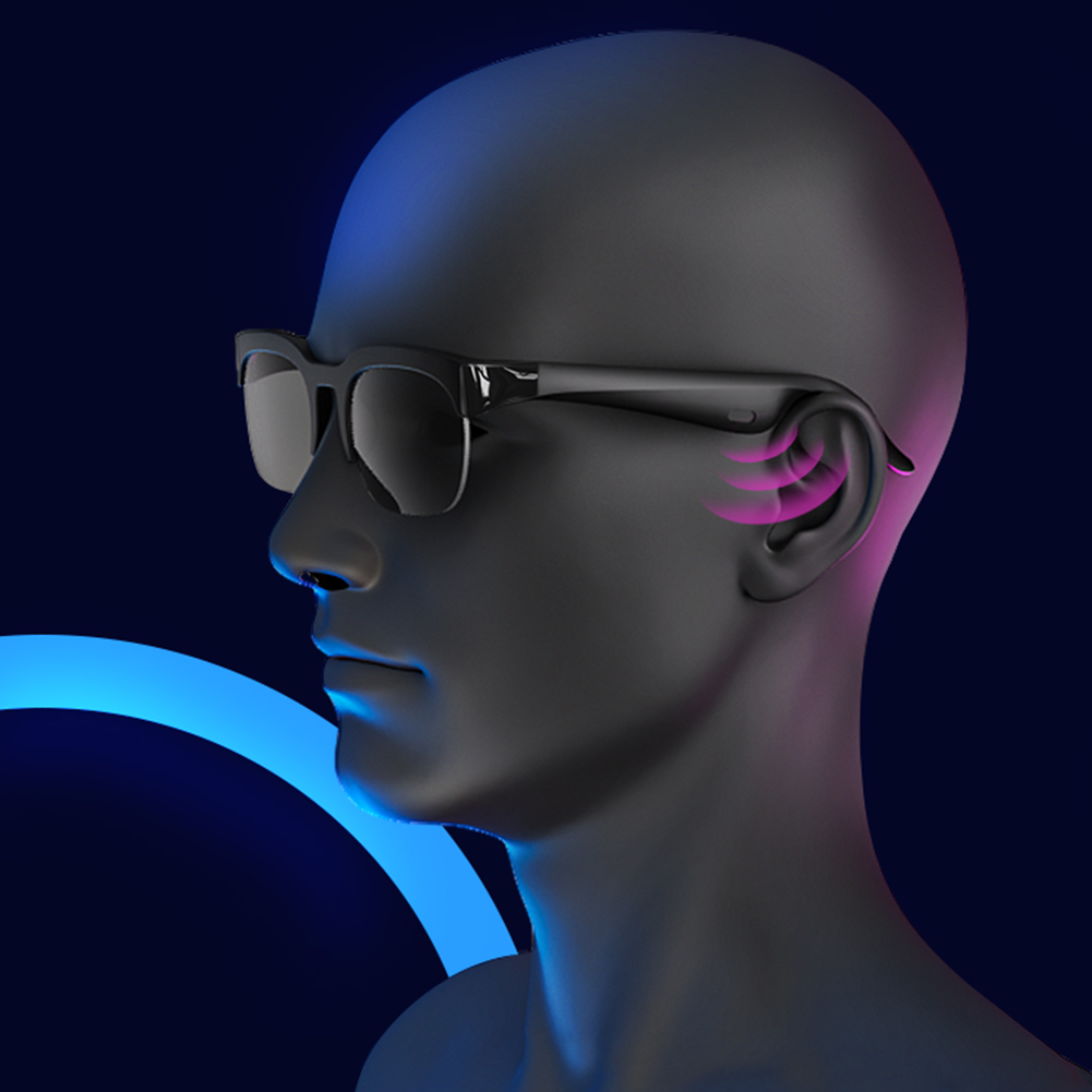 BT Sunglasses AI Translator Ha - Audio With Music Ai のレビューと価格
