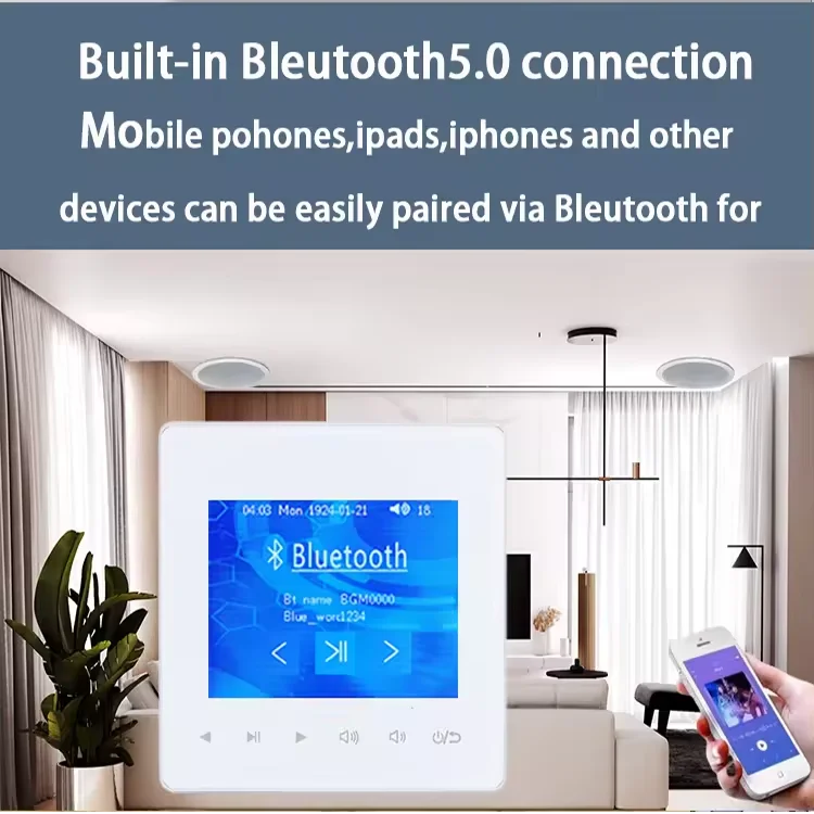 Home Bluetooth Wall Amplifier  - Audio Music For Background のレビューと価格