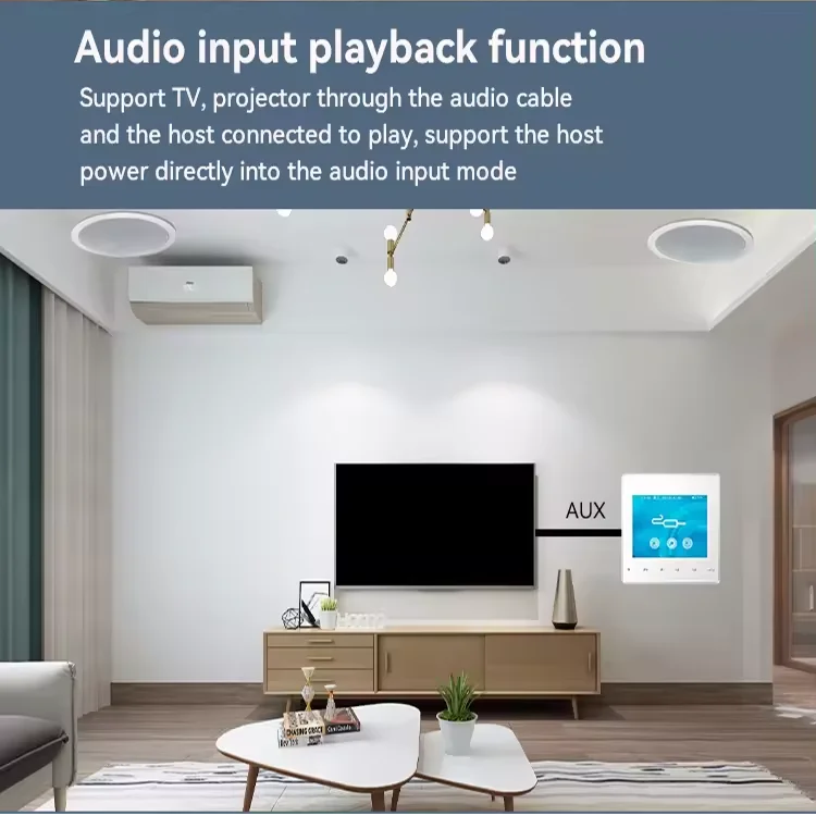 Home Bluetooth Wall Amplifier  - Audio Music For Background のレビューと価格
