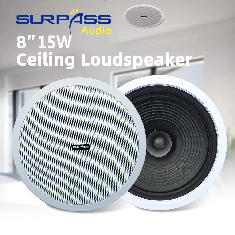 Home Audio Sound System 8inch  - Audio Music For Background のレビューと価格