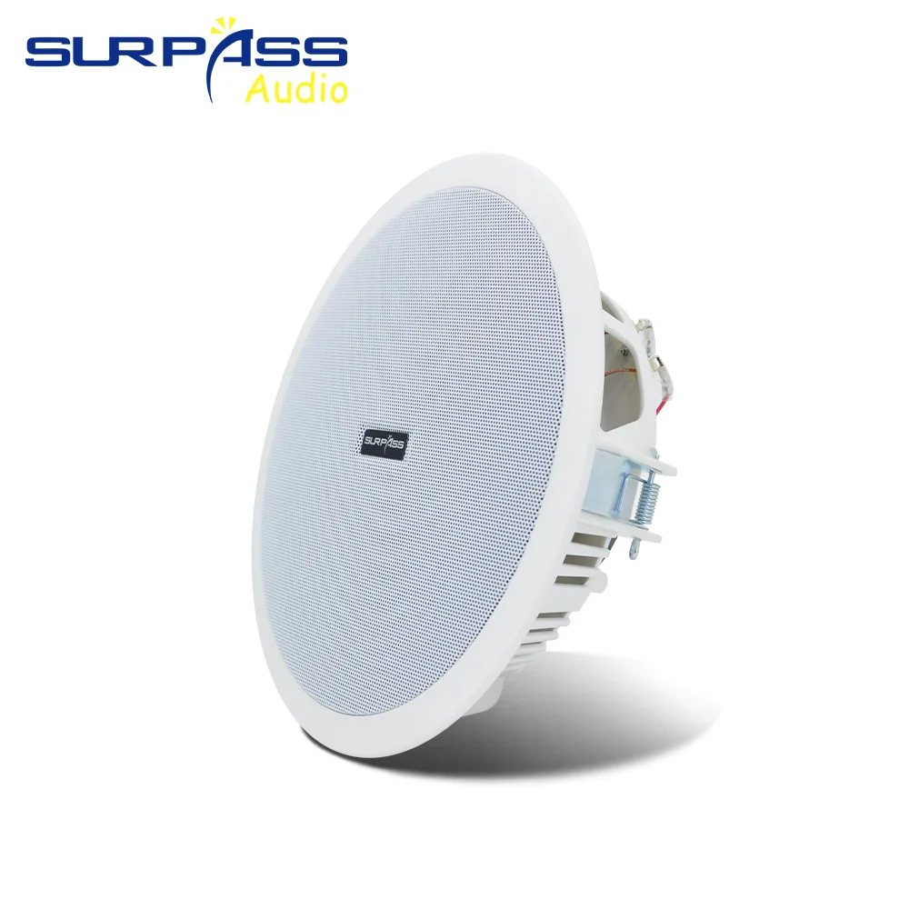 Home Audio Sound System 8inch  - Audio Music For Background のレビューと価格