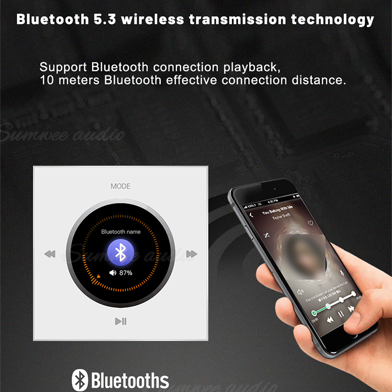 86 Type Home Audio In Wall Amp - Audio Music For Background のレビューと価格