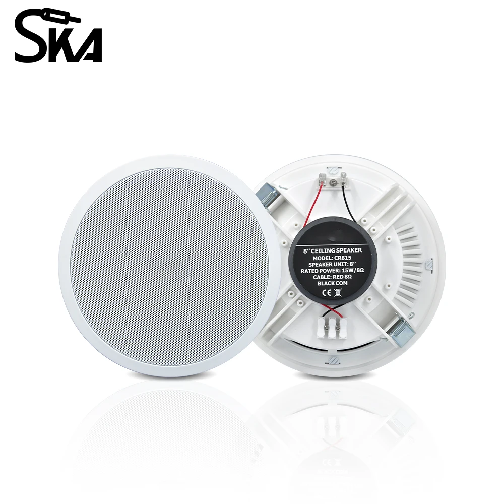 PW4420T+CR815 Smart Home Audio - Audio Music For Background のレビューと価格