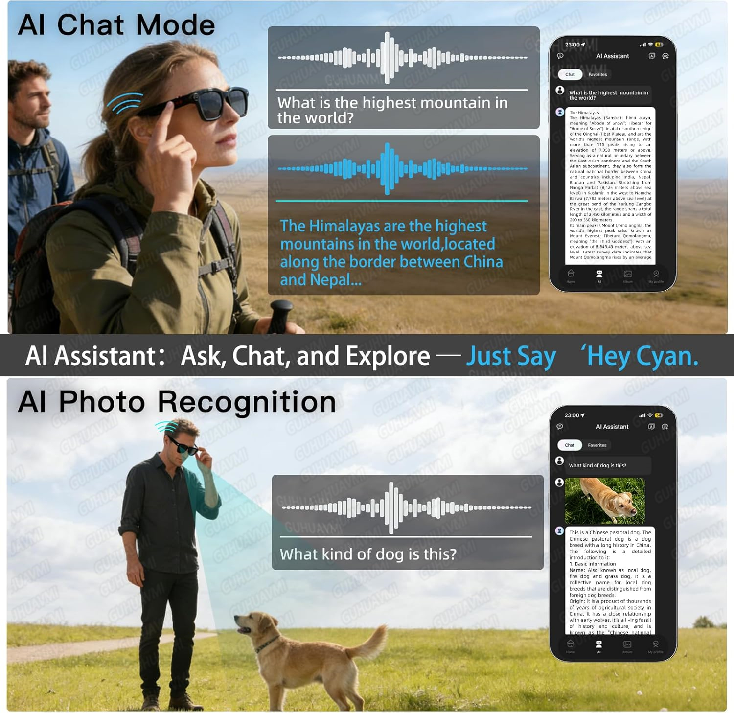 New Smart AI Glasses with 800W - Audio Music Arabic のレビューと価格
