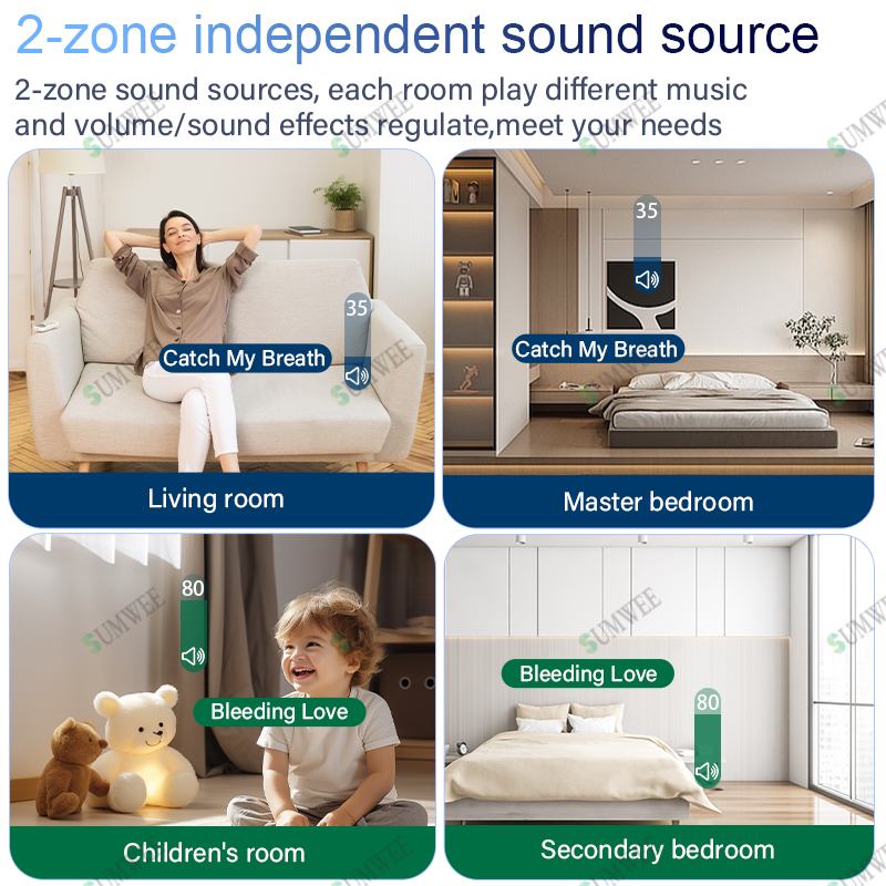 7 Inch Touch Screen 2 Zone Sma - Audio Music For Background のレビューと価格