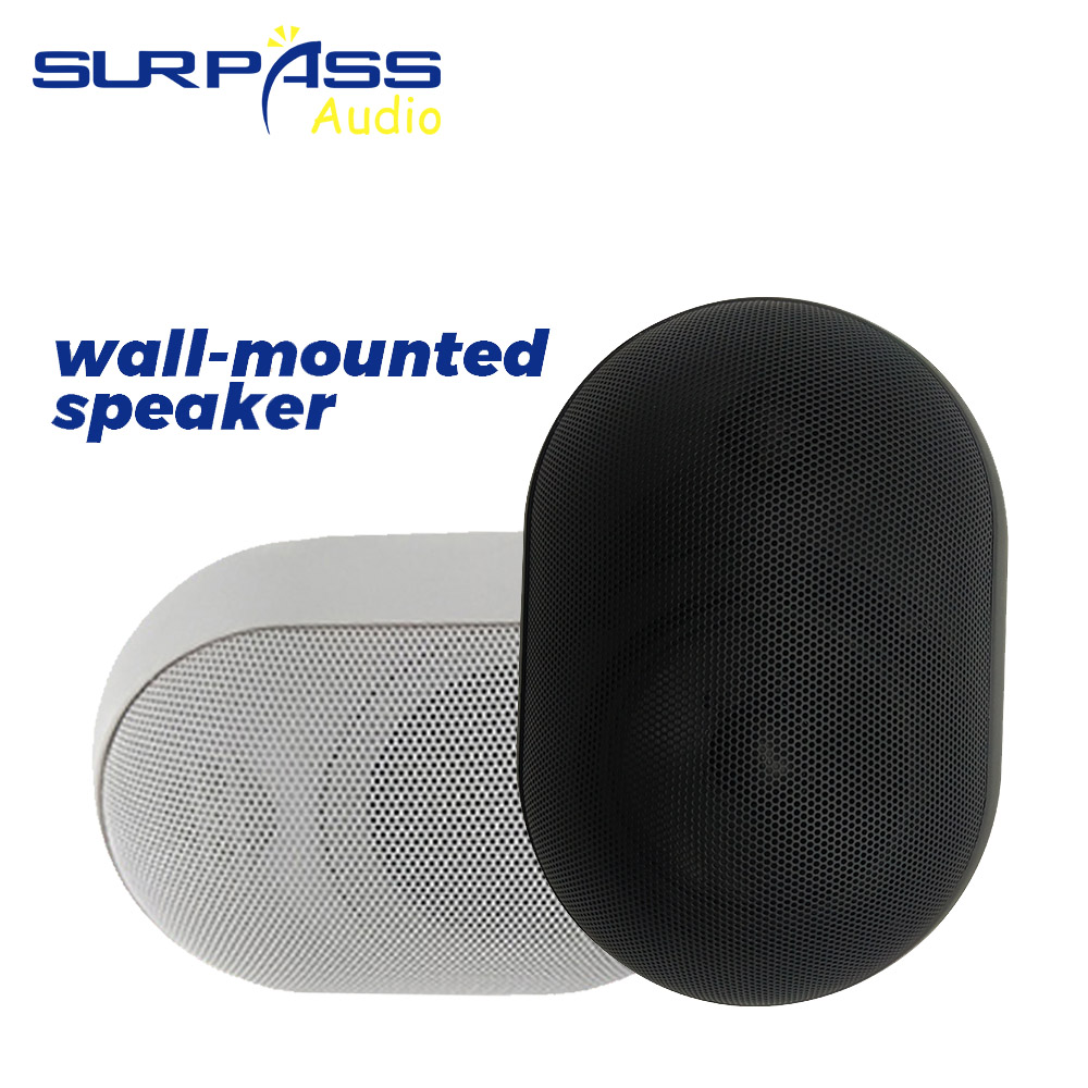 30W Wall-mounted Speaker Water - Audio Music For Background のレビューと価格