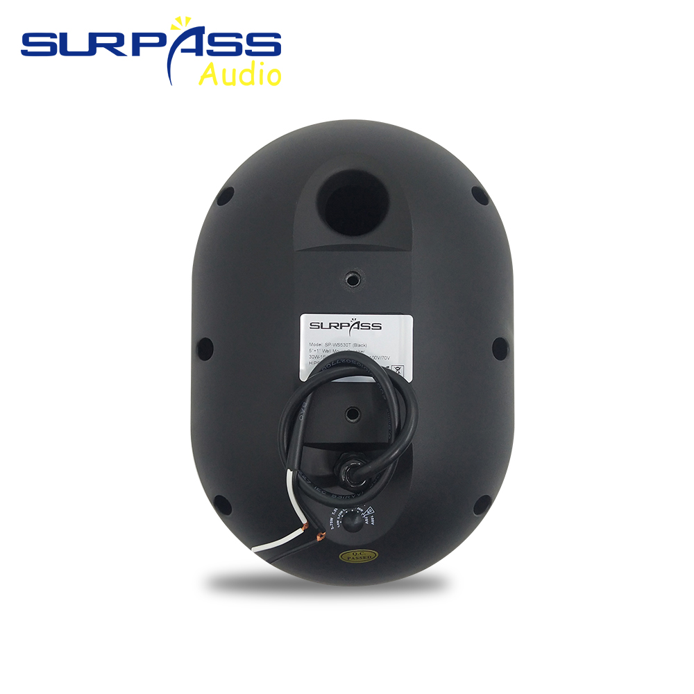 30W Wall-mounted Speaker Water - Audio Music For Background のレビューと価格