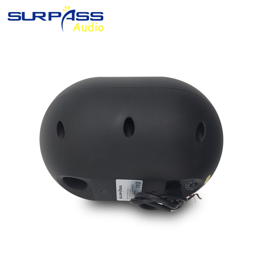 30W Wall-mounted Speaker Water - Audio Music For Background のレビューと価格
