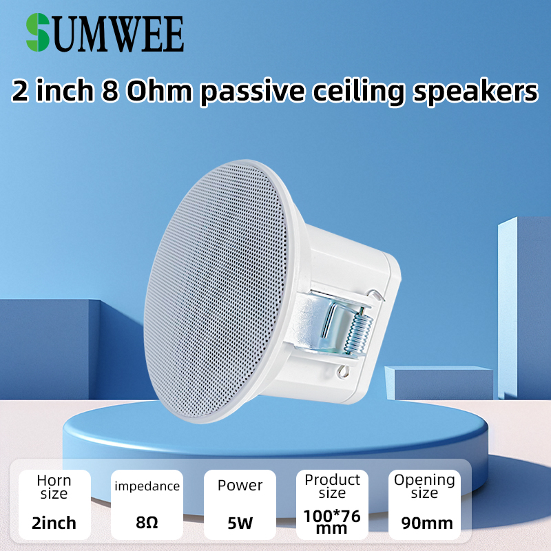 2Inch Mini 8 Ohm Ceiling Speak - Audio Music For Background のレビューと価格