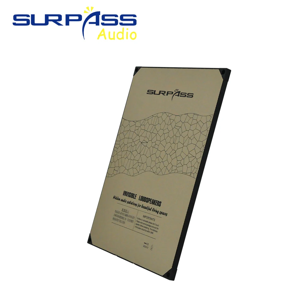 20W Invisible Indoor Speaker R - Audio Music For Background のレビューと価格